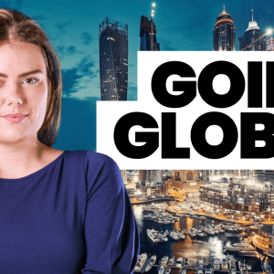 international business degree international business degree